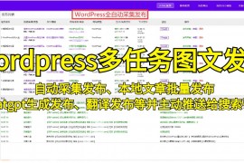 掌握WordPress插件的使用技巧，轻松打造个性化网站