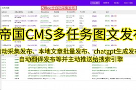 帝国CMS插件——打造高效网站建设利器