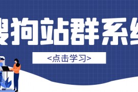 搜狗站群-搜狗泛站群实现搜狗泛收录