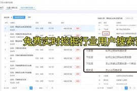 seo关键词是什么意思，seo关键词的意思