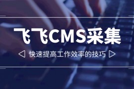 飞飞CMS采集