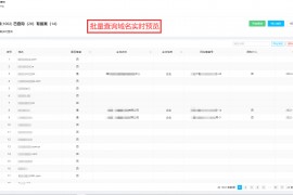 为什么说备案域名更符合SEO排名-批量备案域名实时查询监控软件