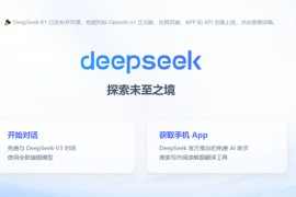  怎么充值DeepSeek API？DeepSeek暂停API充值怎么解决