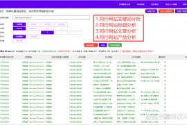 快速提高网站关键词排名优化的5个方法与小技巧