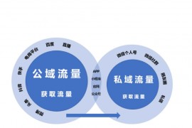 企业全网营销推广技术拆解，平台搭建与 SEO 优化实操