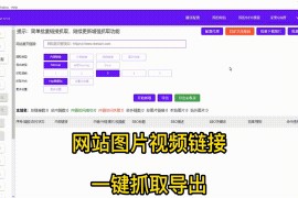 如何批量下载网页图片原图