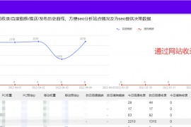 蜘蛛日志分析工具