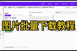 图片链接批量下载图片工具