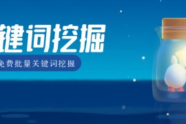 SEO关键词排名优化