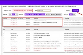 SEO关键词排名查询方法与实战技巧