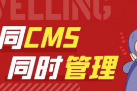 wordpress主题模板-wordpress主页-wordpress主页配置插件主页主题选择