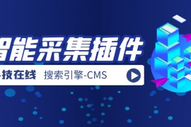 CMS采集-批量管理CMS采集站自动采集伪原创发布