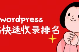 wordpress 域名-wordpress域名快速收录-wordpress域名快速排名