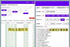 SEO关键词排名软件