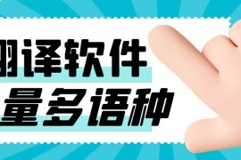 WordPress批量翻译SEO搜素引擎优化