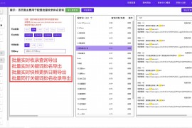 网站收录查询工具