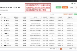 中文域名注册到期查询软件-最新域名批量查询