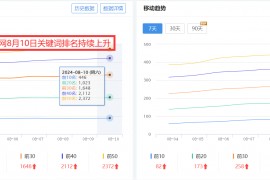 WordPress免费建站：低成本创造高品质网站