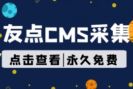 友点CMS采集