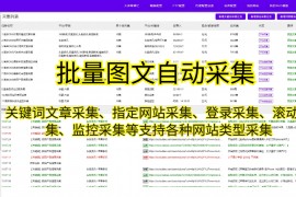 SEO三网大数据抓取公司，助力企业数据赋能