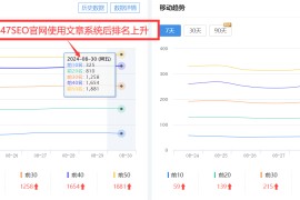 如何通过SEO优化提升网站开发效果