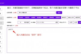 147采集教程（1.3版本）