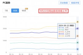 提升SEO排名的秘密武器