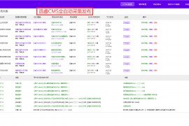 迅睿cms模板-迅睿CMS插件-免费迅睿CMS