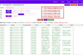 SEO软文营销：助您提升品牌影响力与网站流量