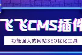 飞飞CMS插件