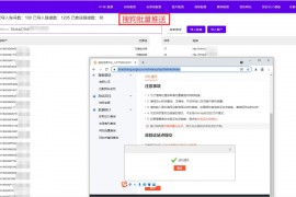 搜狗单页首页收录教程——助您快速提升网站关键词排名