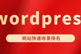 wordpress自动定时更新插件