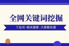 免费全网流量词实时挖掘