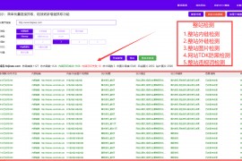 SEO综合查询分析诊断工具-导入域名批量查询诊断分析工具