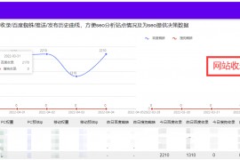 站长辅助工具（站长工具集合大全）