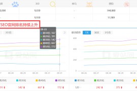 如何通过SEO关键字优化，提升网站流量和排名