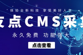 友点CMS插件