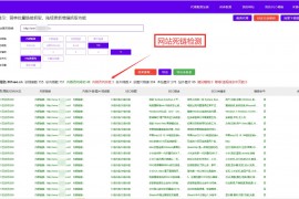 网站死链检测工具