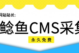 鲶鱼CMS采集