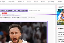 开源情报数据采集，网站数据监控_147SEO