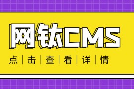 网钛CMS插件-网钛CMS模板插件支持采集发布伪原创