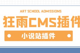 狂雨CMS插件