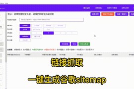 147SEO工具动图教程_147SEO