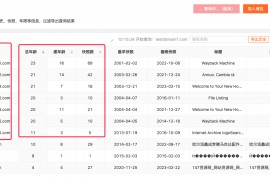 怎么查网站域名（批量网站域名查询）