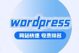 wordpress主题-wordpress电商-wordpress电商网站