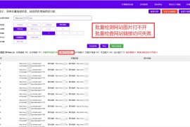 检查网站图片缺失打不开的工具