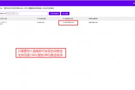 网站关键词快排软件