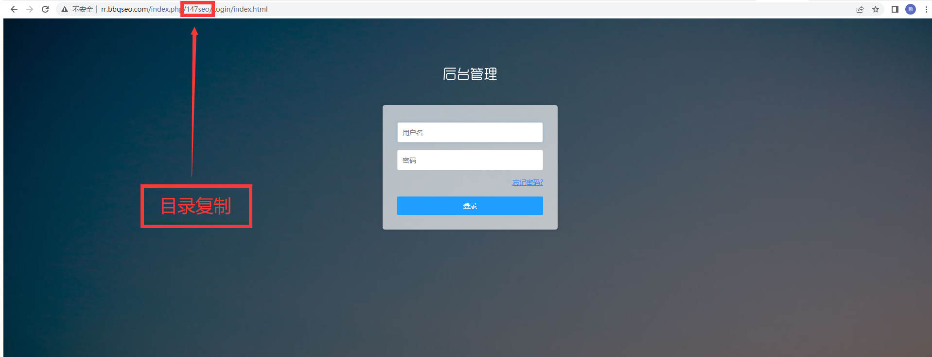 1.2人人站CMS目录站填写教程