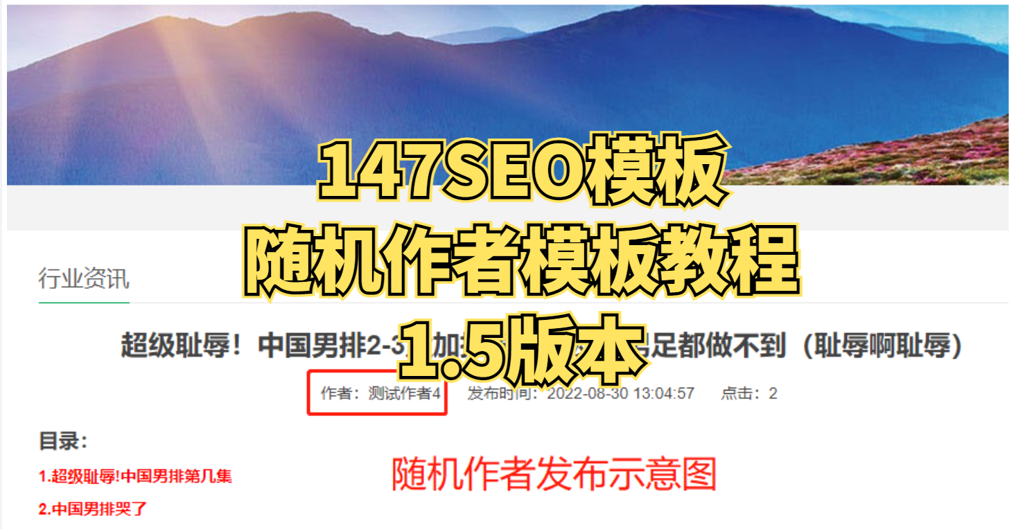 随机作者TDK属性模板配置教程